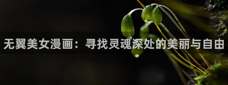 虫虫免费漫画