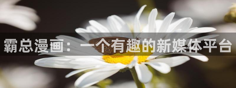 羞羞虫虫漫画