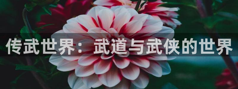 虫虫漫画现在