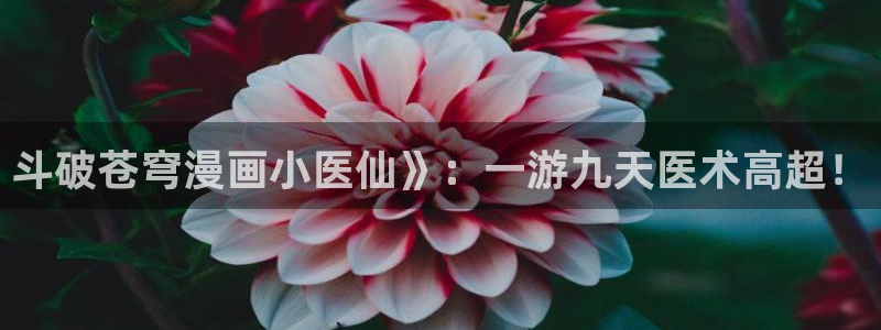 韩国漫画虫虫