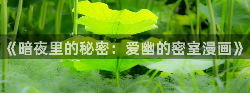 虫虫漫画网入口免费