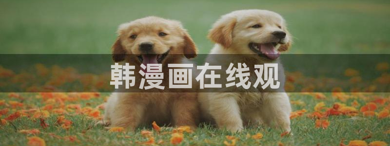 虫虫漫画解说