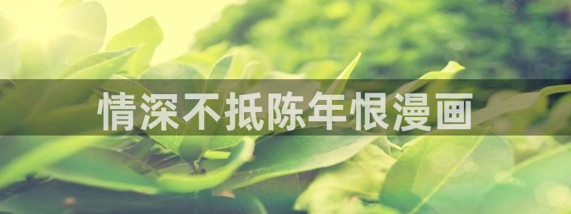 虫虫漫画网站入口