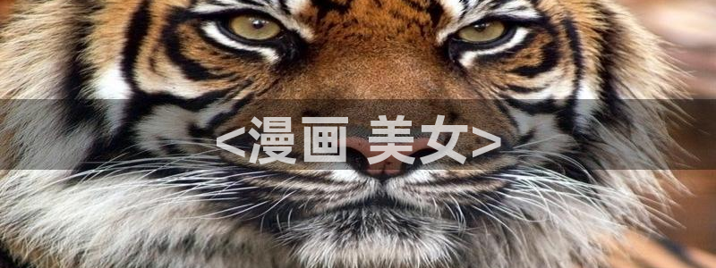 虫虫漫画免费阅读看漫