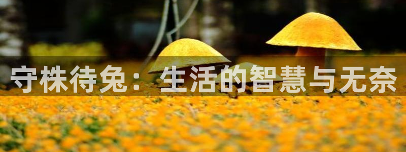 虫虫 漫画：守株待兔：生活的智慧与无奈