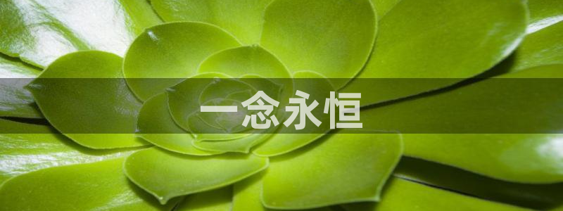 虫虫漫画免费漫画入口页面27