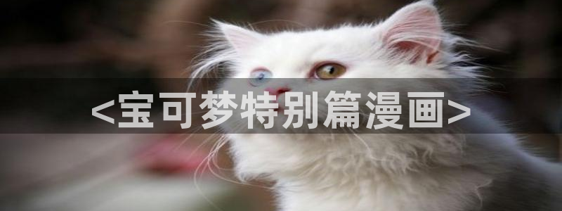 虫虫漫画免费漫画入口页面下拉式