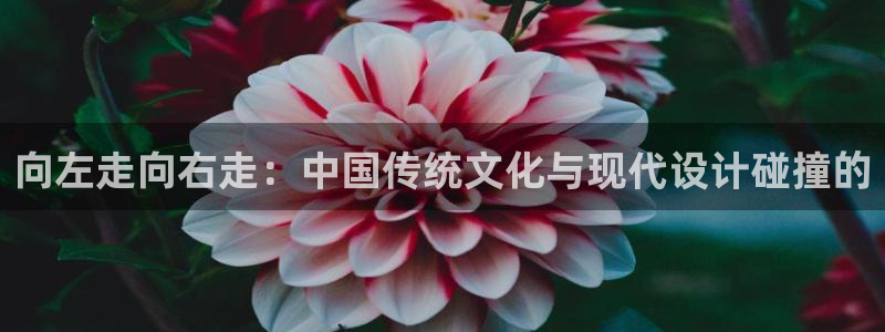 虫虫漫画最新版