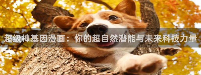汗汗虫虫漫画免费观看最新章节